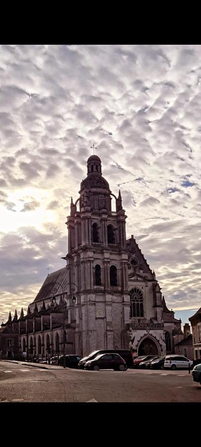 Caravane L'Attrape-Reve Aux Portes Du Chateau De Chambord Et Cheverny 蒙特普利斯尚伯德 外观 照片